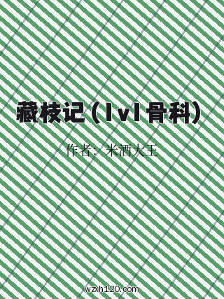 藏枝记（1v1骨科）