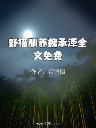 野猫驯养魏承泽全文免费