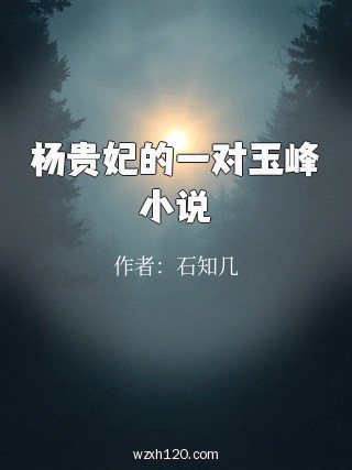 杨贵妃的一对玉峰小说