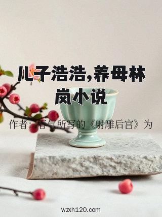 儿子浩浩,养母林岚小说