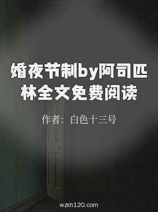 婚夜节制by阿司匹林全文免费阅读