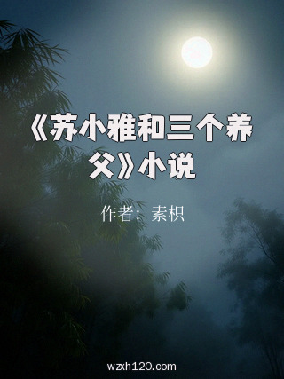 《苏小雅和三个养父》小说