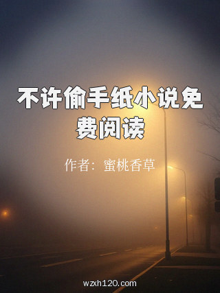 不许偷手纸小说免费阅读