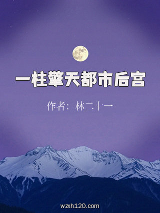 一柱擎天都市后宫