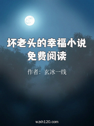 坏老头的幸福小说免费阅读