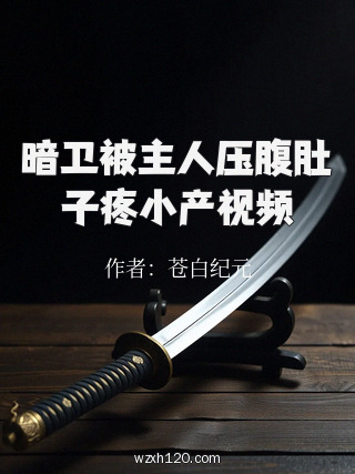 暗卫被主人压腹肚子疼小产视频
