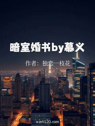 暗室婚书by慕义