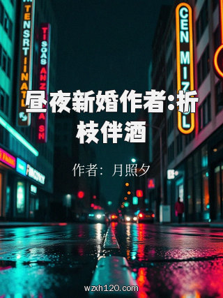 昼夜新婚作者:折枝伴酒