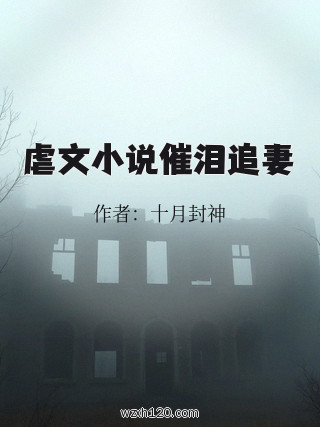 虐文小说催泪追妻