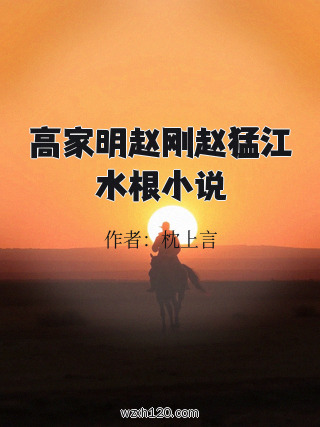 高家明赵刚赵猛江水根小说