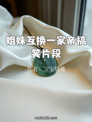 姐妹互换一家亲搞笑片段