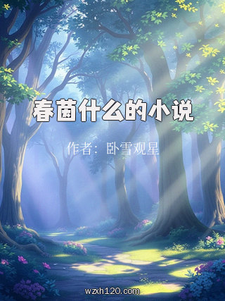 春茵什么的小说