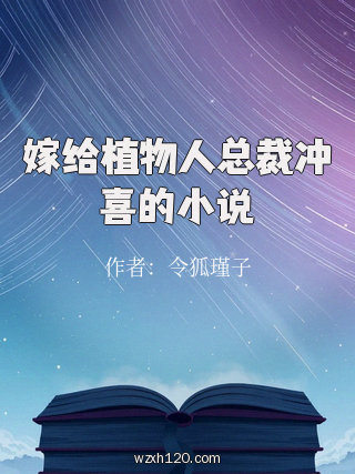 嫁给植物人总裁冲喜的小说
