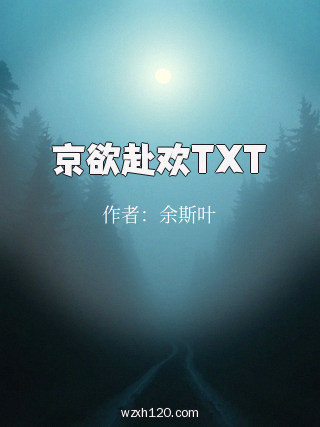 京欲赴欢TXT