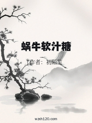 蜗牛软汁糖