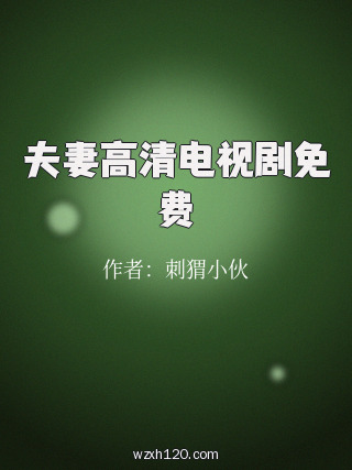 夫妻高清电视剧免费
