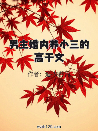 男主婚内养小三的高干文