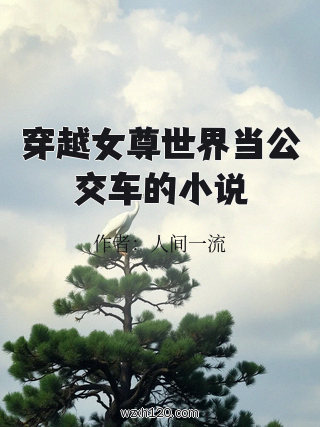 穿越女尊世界当公交车的小说