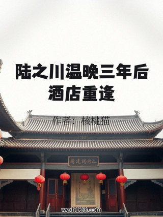 陆之川温晚三年后酒店重逢