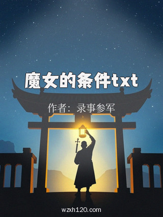 魔女的条件txt