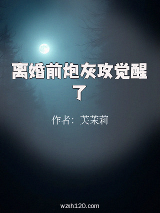 离婚前炮灰攻觉醒了