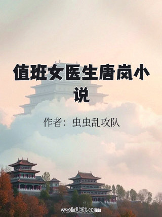 值班女医生唐岚小说