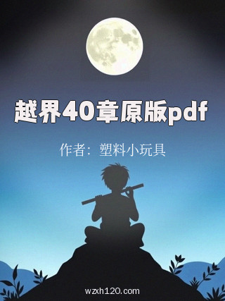 越界40章原版pdf