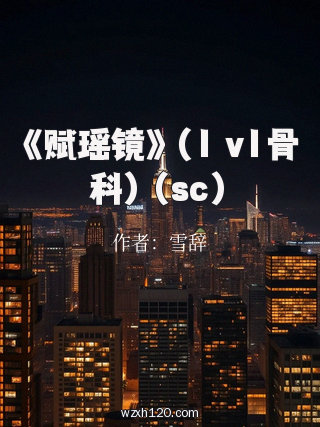 《赋瑶镜》（1 v1骨科）（sc）