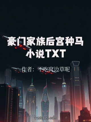 豪门家族后宫种马小说TXT