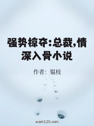 强势掠夺:总裁,情深入骨小说