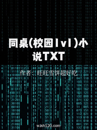 同桌(校园1v1)小说TXT