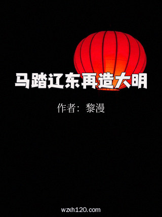 马踏辽东再造大明