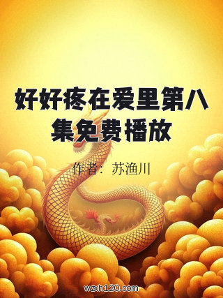 好好疼在爱里第八集免费播放