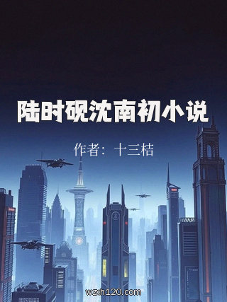 陆时砚沈南初小说