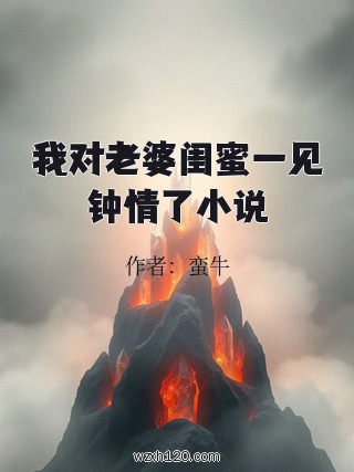 我对老婆闺蜜一见钟情了小说
