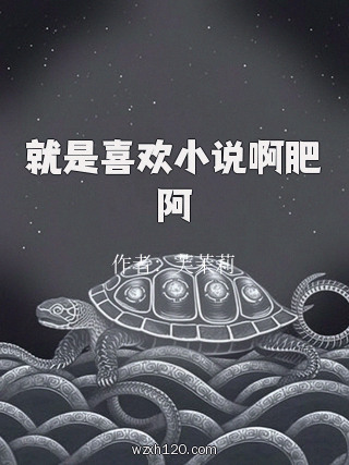 就是喜欢小说啊肥阿