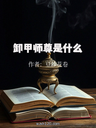 卸甲师尊是什么