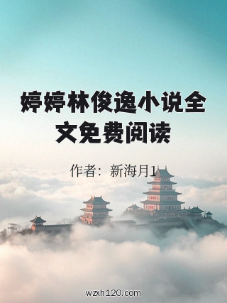 婷婷林俊逸小说全文免费阅读