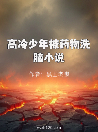 高冷少年被药物洗脑小说