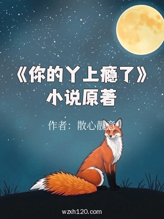 《你的丫上瘾了》小说原著