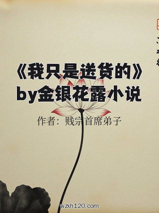 《我只是送货的》by金银花露小说