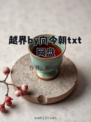 越界by向今朝txt网盘
