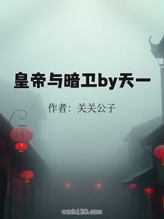 皇帝与暗卫by天一