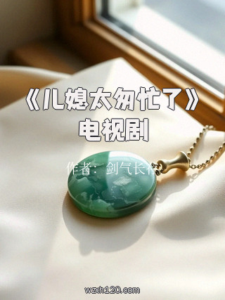 《儿媳太匆忙了》电视剧