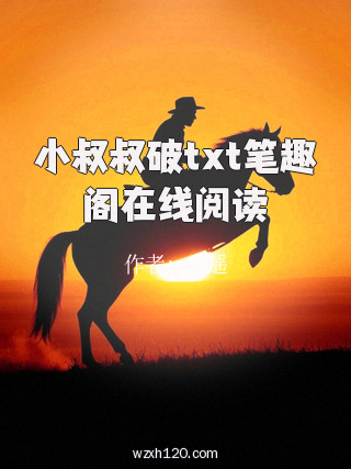 小叔叔破txt笔趣阁在线阅读