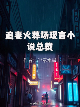 追妻火葬场现言小说总裁