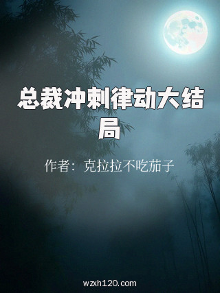 总裁冲刺律动大结局