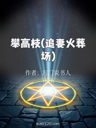 攀高枝(追妻火葬场)
