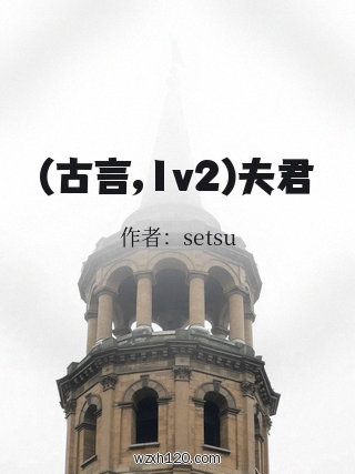 (古言,1v2)夫君