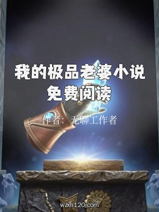 我的极品老婆小说免费阅读